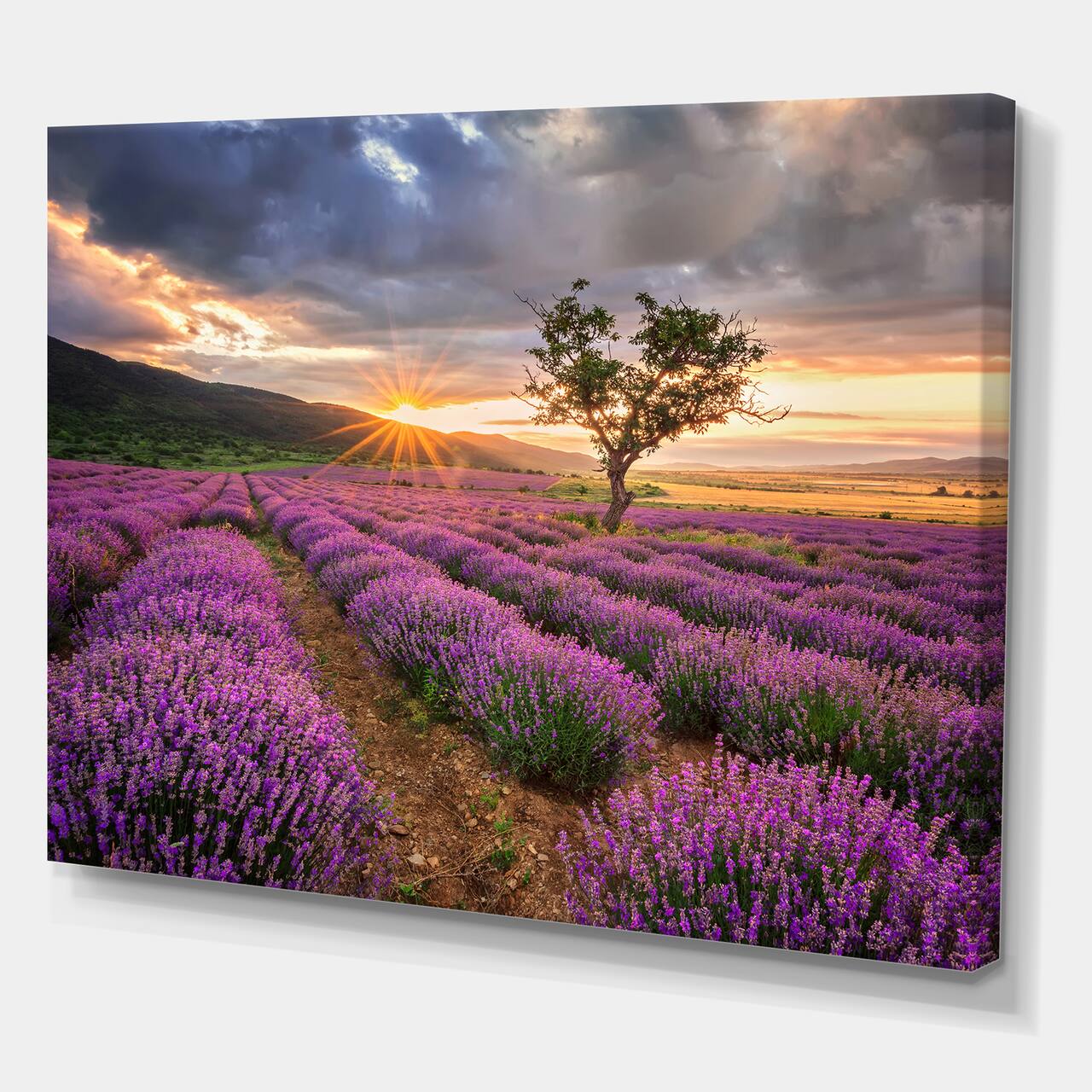 Designart - Sunrise &#x26; Dramatic Clouds Over Lavender Field VIII - Farmhouse Canvas Wall Art Print